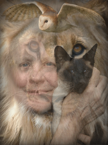 Working with Animals #01