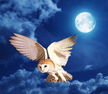 reiki london