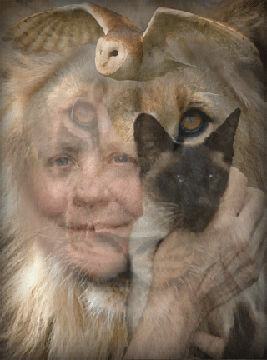 Working with Animals. Nov 14: Photomontage 1 smaller