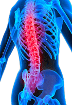 Cranio Sacral Therapy. Dec 14: smaller spine